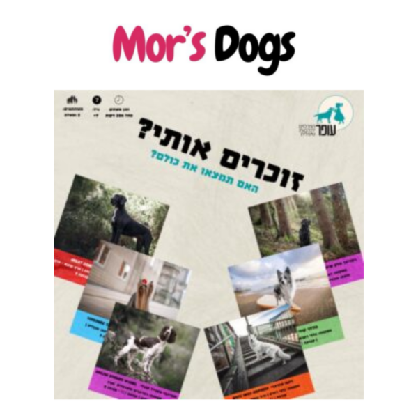 משחק קלפים זוכרים אותי הקטן